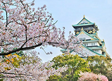 开云体育登录入口-人和主场8连败难找归属感 或创纪录耻辱堕入中甲
